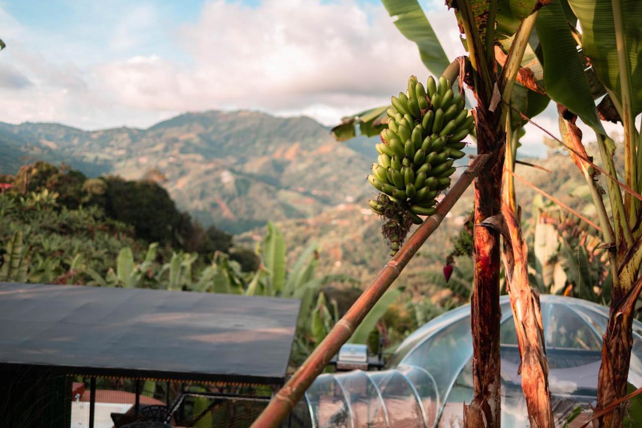 Chami Glamping Villa Manizales Exterior photo