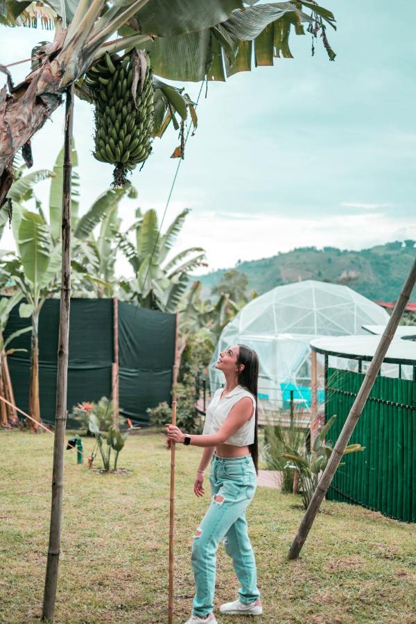 Chami Glamping Villa Manizales Exterior photo