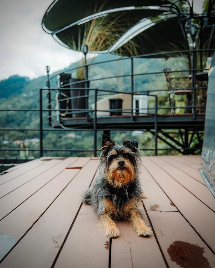 Chami Glamping Villa Manizales Exterior photo